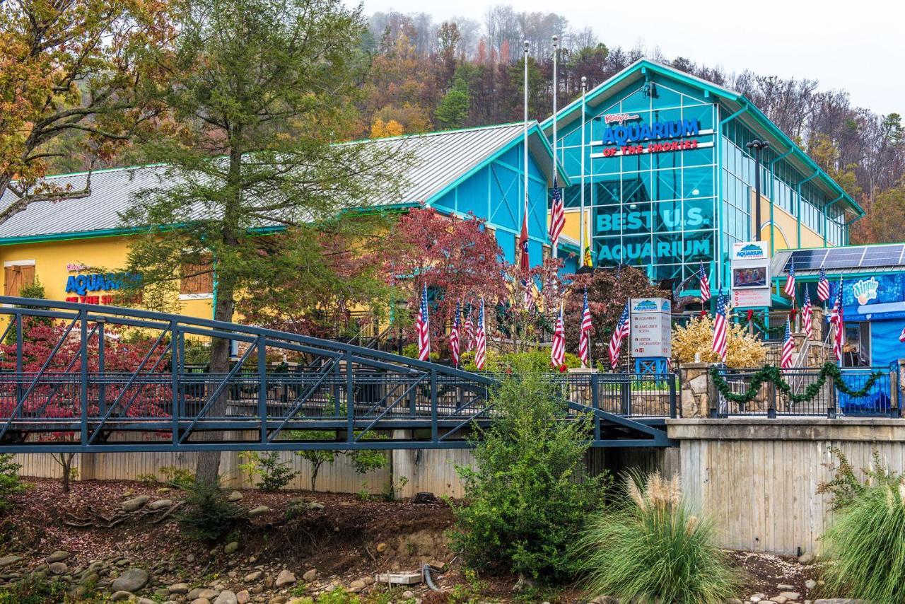 Bear View Chalet, 3 Bedroom, Pool, Pets, Arcades, Wifi, Hot Tub, Sleeps 12 Gatlinburg Bagian luar foto