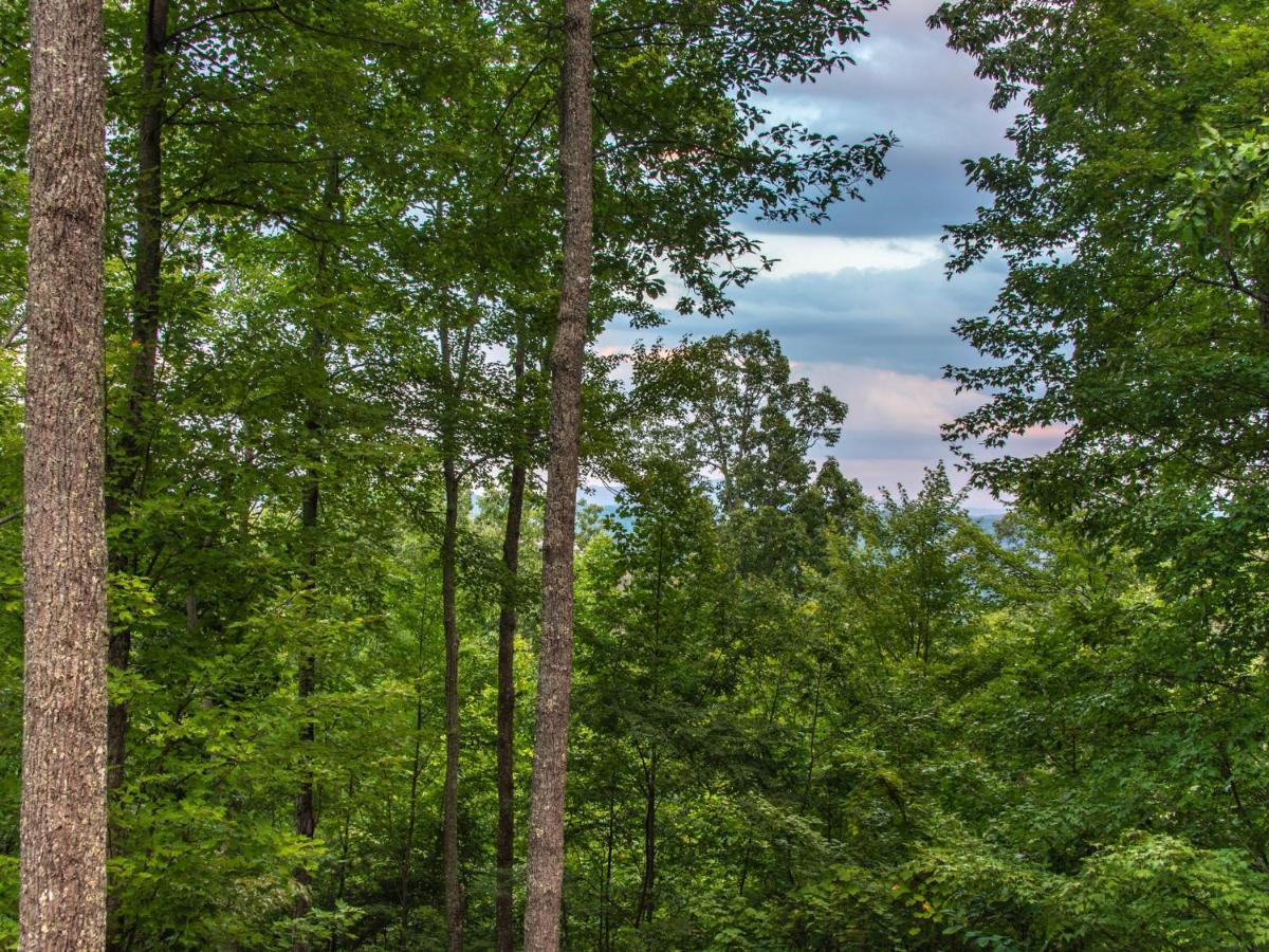 Bear View Chalet, 3 Bedroom, Pool, Pets, Arcades, Wifi, Hot Tub, Sleeps 12 Gatlinburg Bagian luar foto